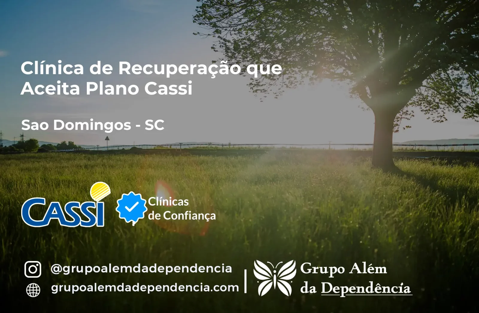 Clínica de Recuperação que Aceita CASSI em São Domingos -SC