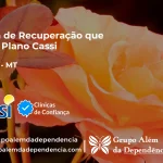 Clínica de Recuperação que Aceita CASSI em Sapezal -MT