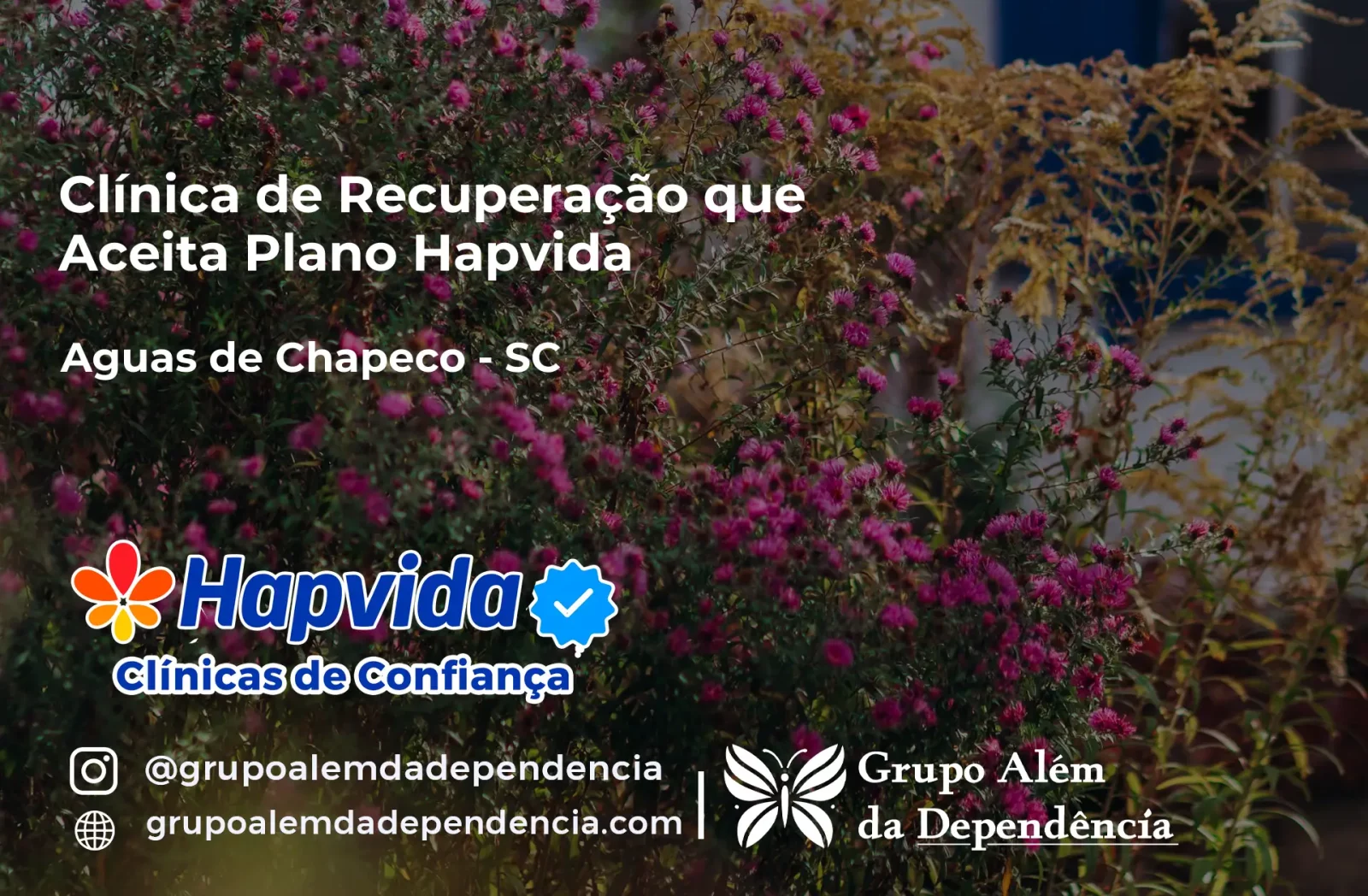 Clínica de Recuperação que Aceita Hapvida em Águas de Chapecó - SC
