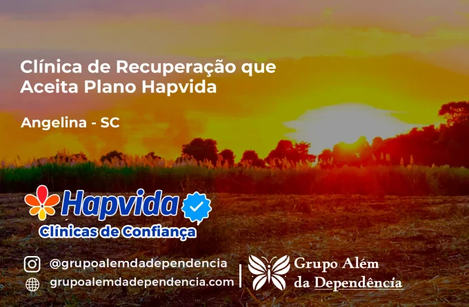 Clínica de Recuperação que Aceita Hapvida em Angelina - SC