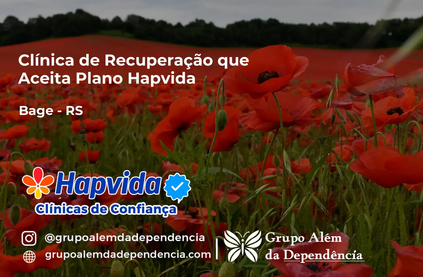 Clínica de Recuperação que Aceita Hapvida em Bagé - RS