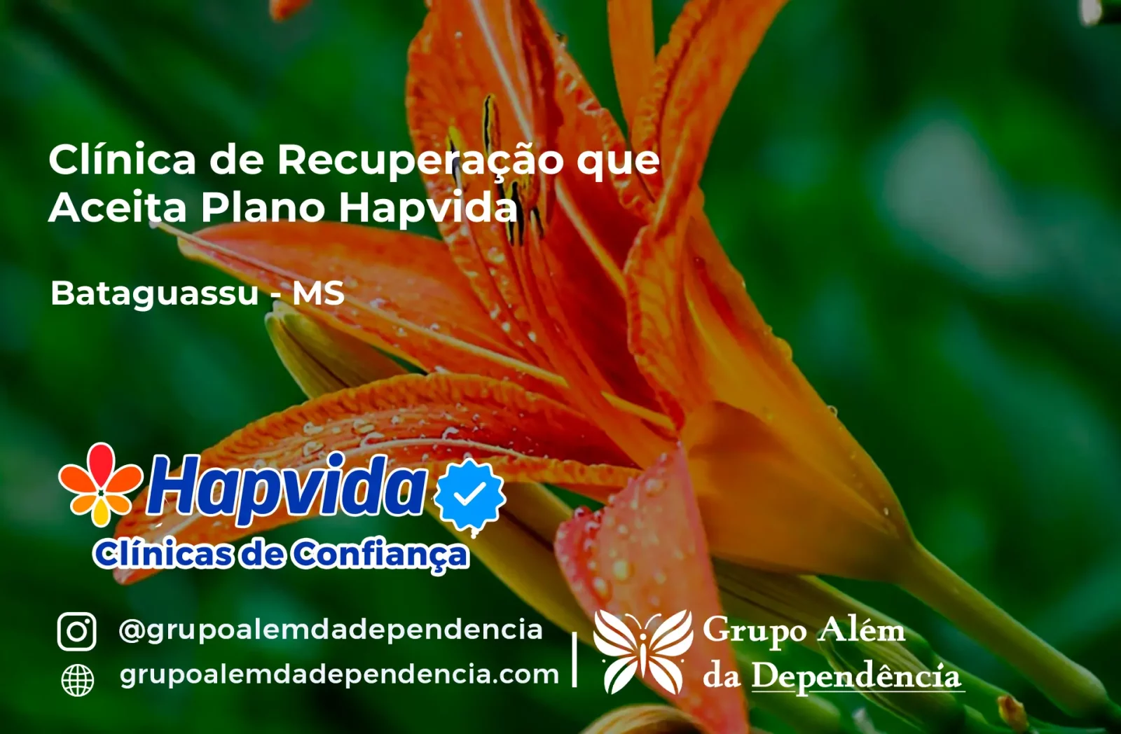 Clínica de Recuperação que Aceita Hapvida em Bataguassu - MS