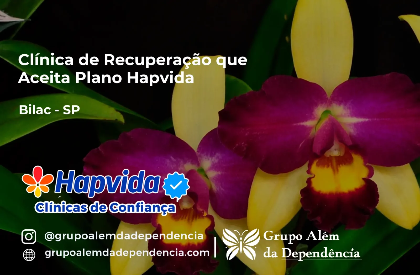 Clínica de Recuperação que Aceita Hapvida em Bilac - SP