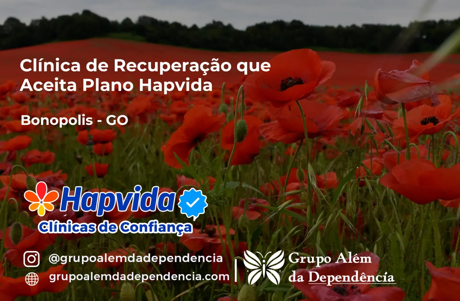Clínica de Recuperação que Aceita Hapvida em Bonópolis - GO