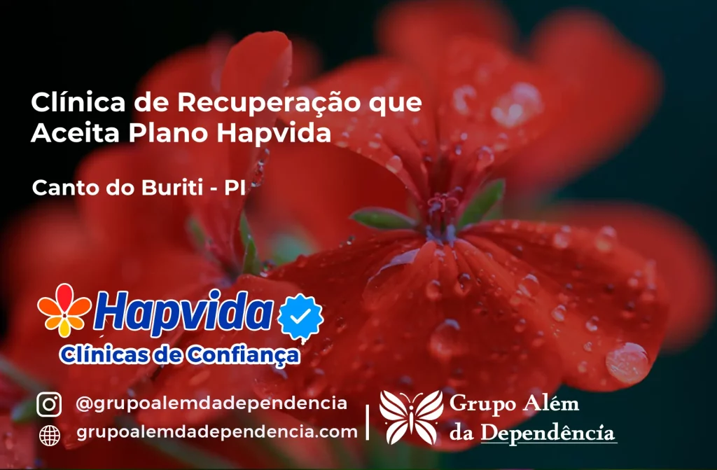 Clínica de Recuperação que Aceita Hapvida em Canto do Buriti - PI 1 Clínica de Recuperação que Aceita Hapvida em Canto do Buriti - PI