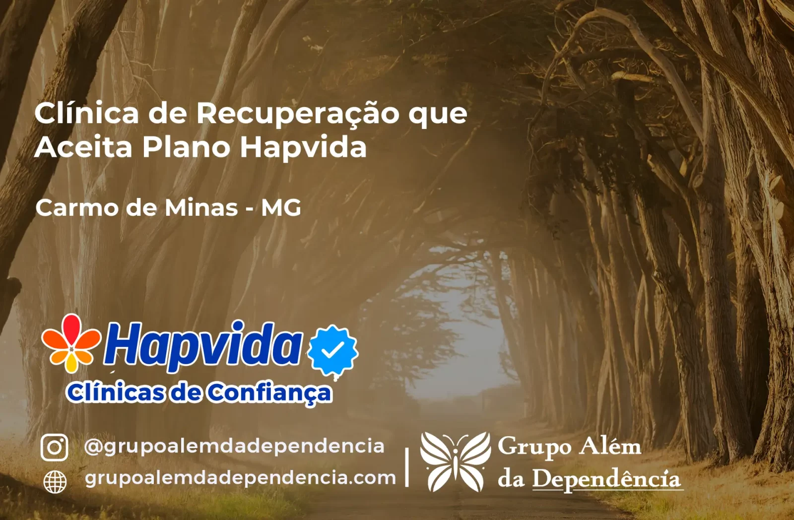 Clínica de Recuperação que Aceita Hapvida em Carmo de Minas - MG