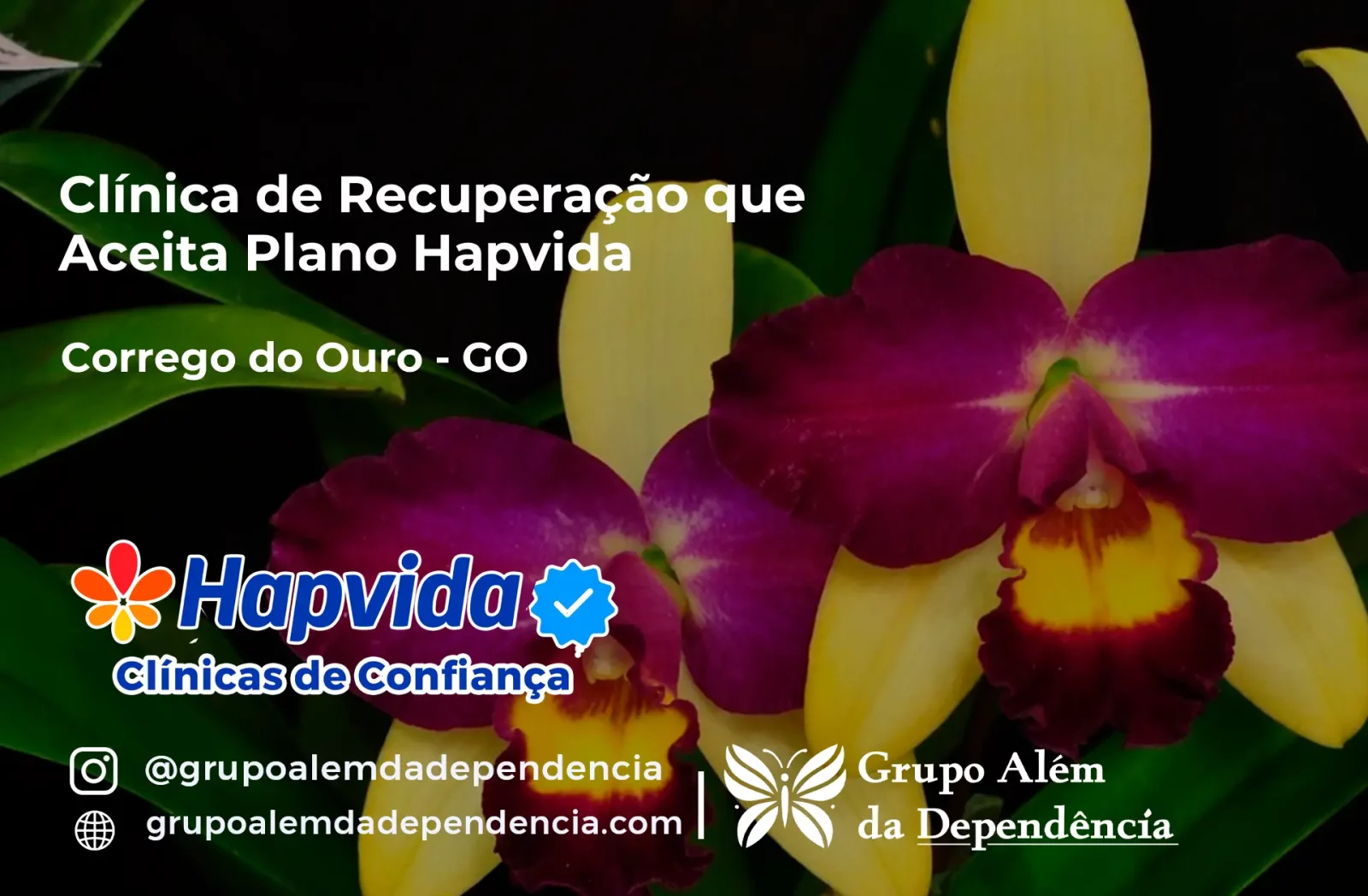 Clínica de Recuperação que Aceita Hapvida em Córrego do Ouro - GO