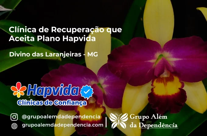Clínica de Recuperação que Aceita Hapvida em Divino das Laranjeiras - MG