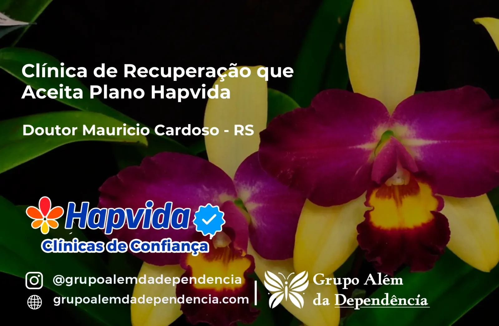 Clínica de Recuperação que Aceita Hapvida em Doutor Maurício Cardoso - RS