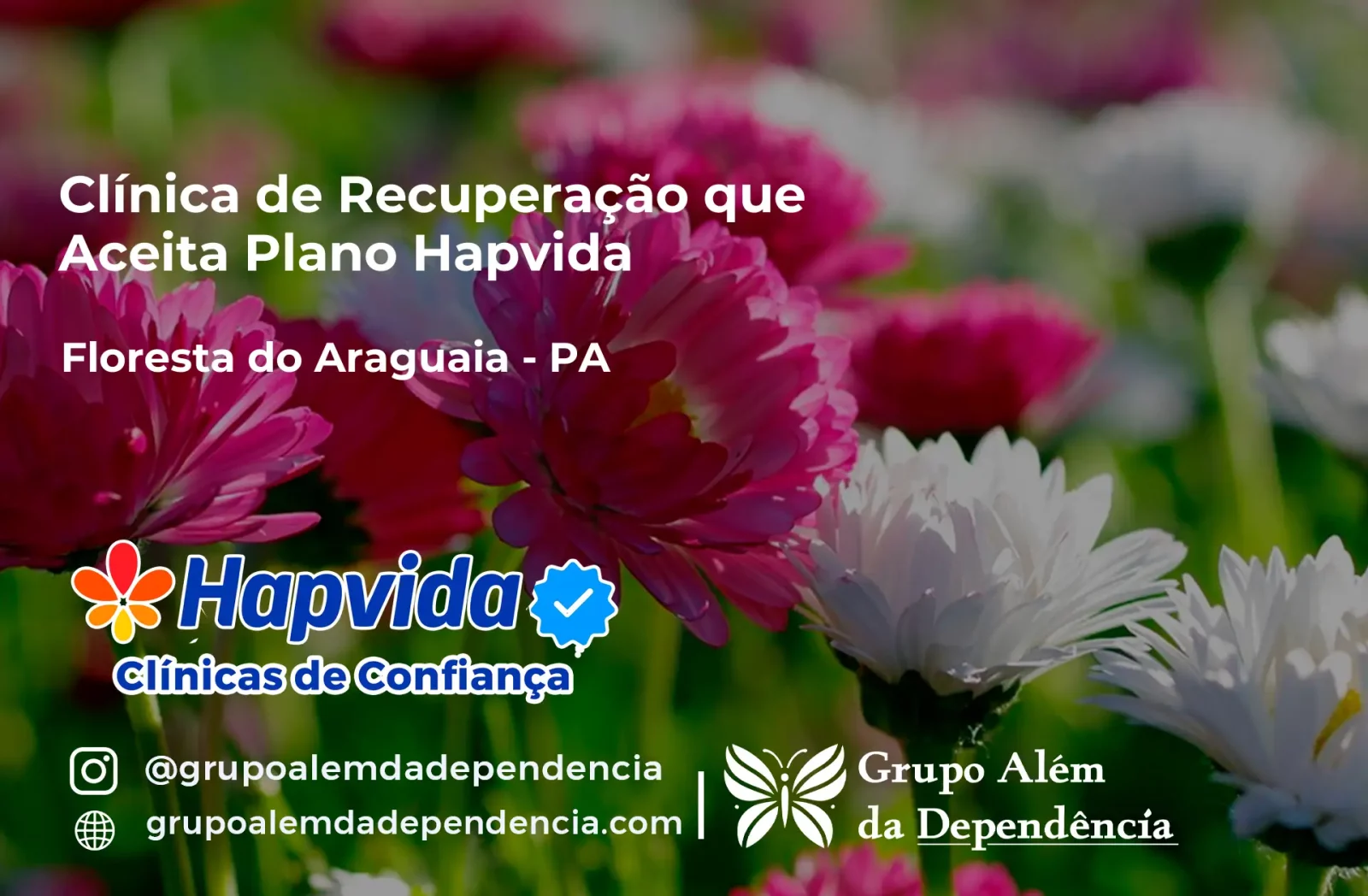 Clínica de Recuperação que Aceita Hapvida em Floresta do Araguaia - PA