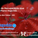 Clínica de Recuperação que Aceita Hapvida em Fronteira dos Vales - MG