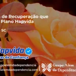 Clínica de Recuperação que Aceita Hapvida em Gaspar - SC
