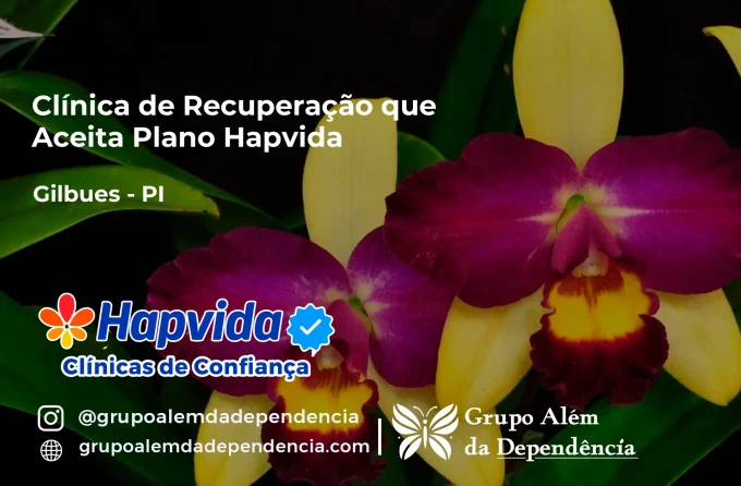 Clínica de Recuperação que Aceita Hapvida em Gilbués - PI