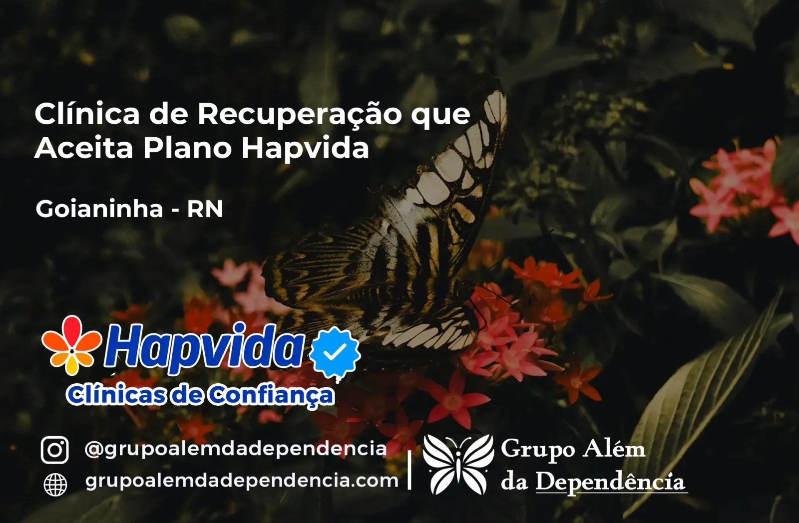 Clínica de Recuperação que Aceita Hapvida em Goianinha - RN