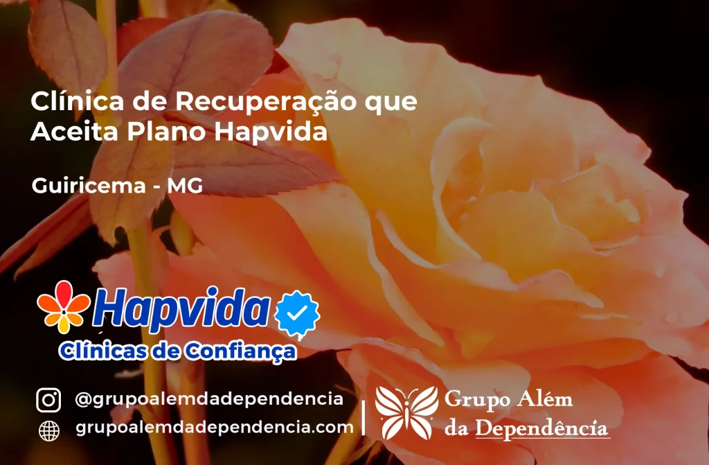 Clínica de Recuperação que Aceita Hapvida em Guiricema - MG 1 Clínica de Recuperação que Aceita Hapvida em Guiricema - MG