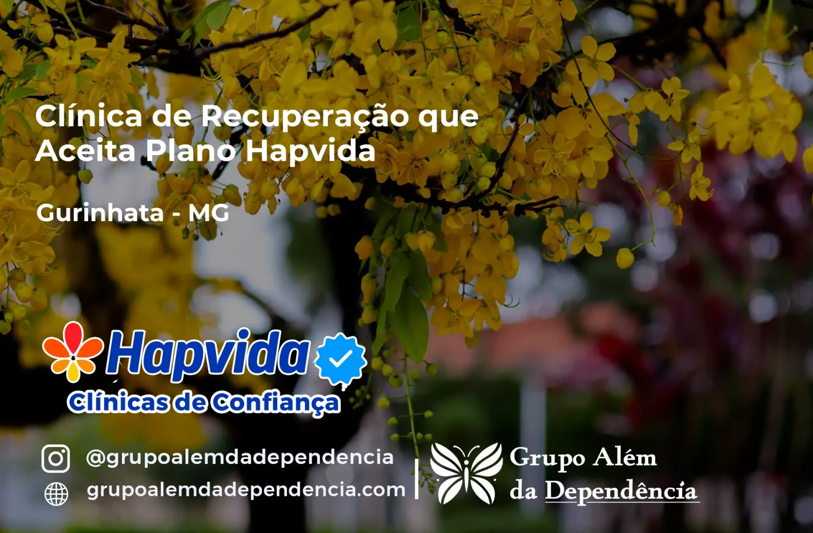 Clínica de Recuperação que Aceita Hapvida em Gurinhatã - MG