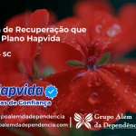 Clínica de Recuperação que Aceita Hapvida em Iomerê - SC