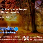 Clínica de Recuperação que Aceita Hapvida em Monte Carlo - SC