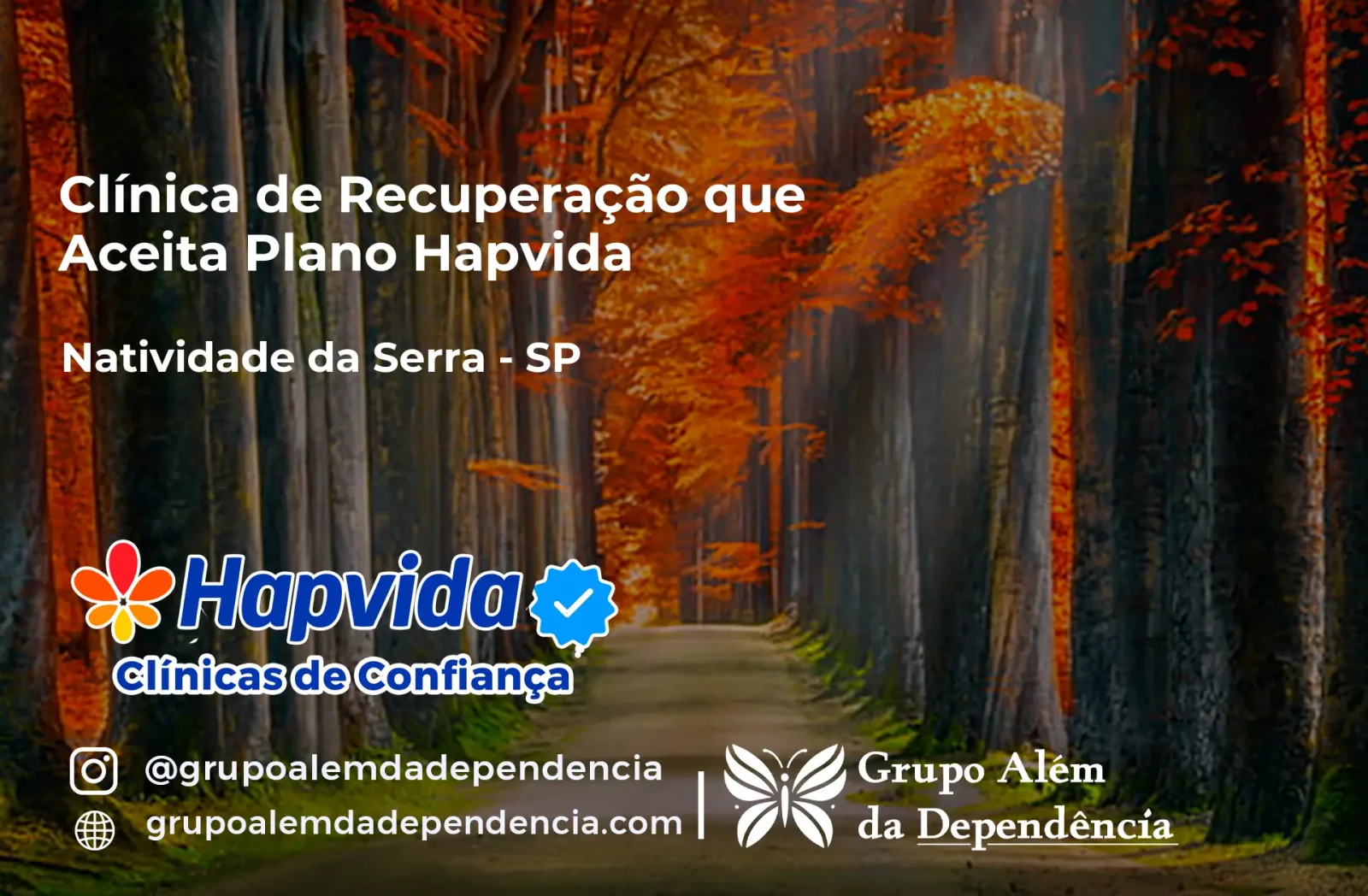 Clínica de Recuperação que Aceita Hapvida em Natividade da Serra - SP