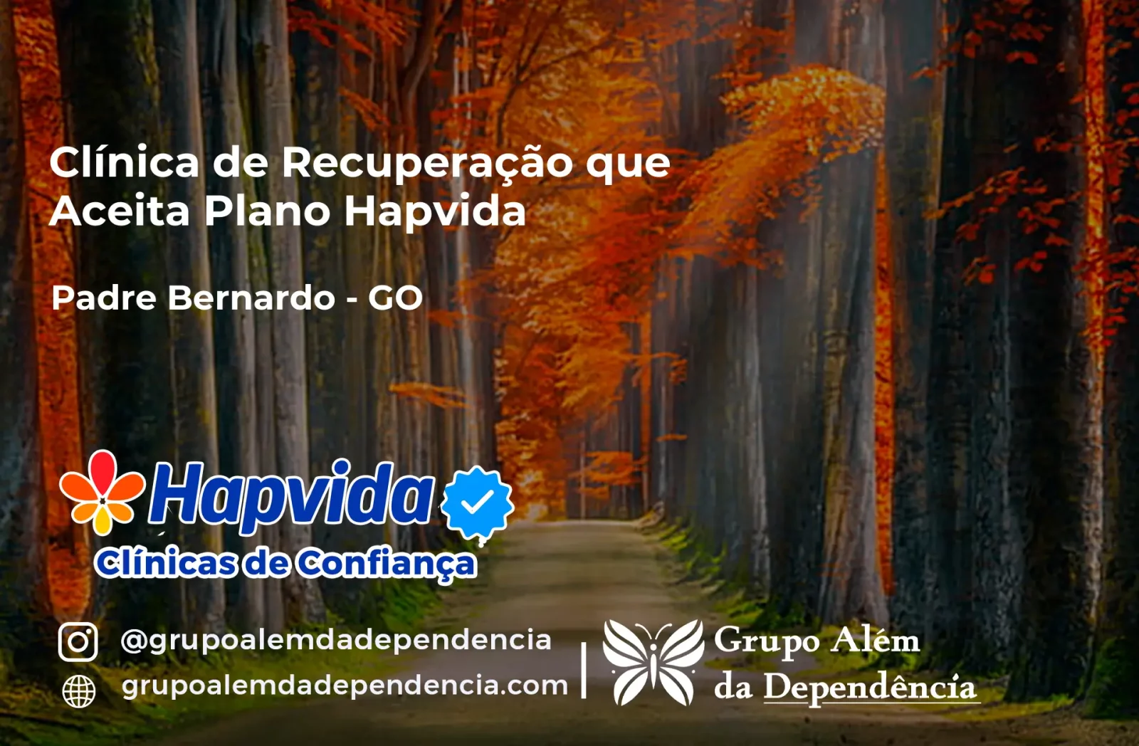 Clínica de Recuperação que Aceita Hapvida em Padre Bernardo - GO