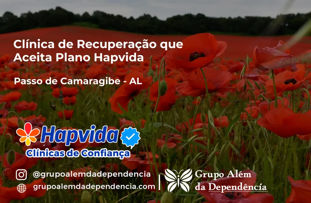 Clínica de Recuperação que Aceita Hapvida em Passo de Camaragibe - AL 1 Clínica de Recuperação que Aceita Hapvida em Passo de Camaragibe - AL