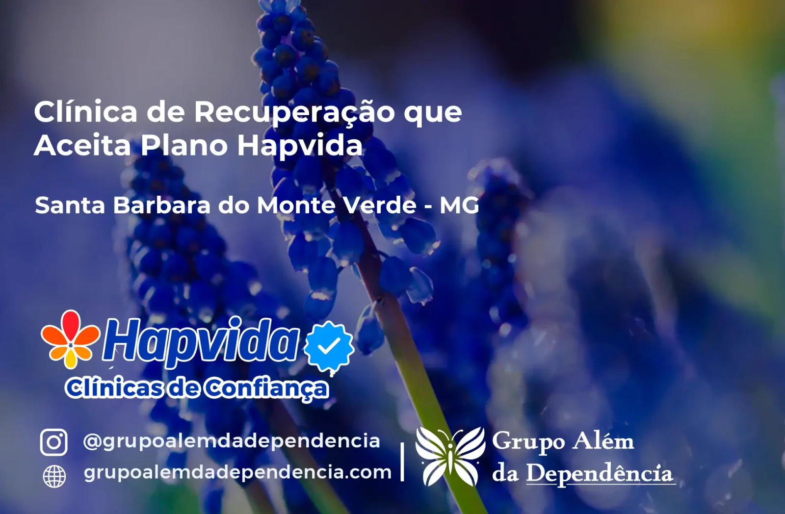 Clínica de Recuperação que Aceita Hapvida em Santa Bárbara do Monte Verde - MG