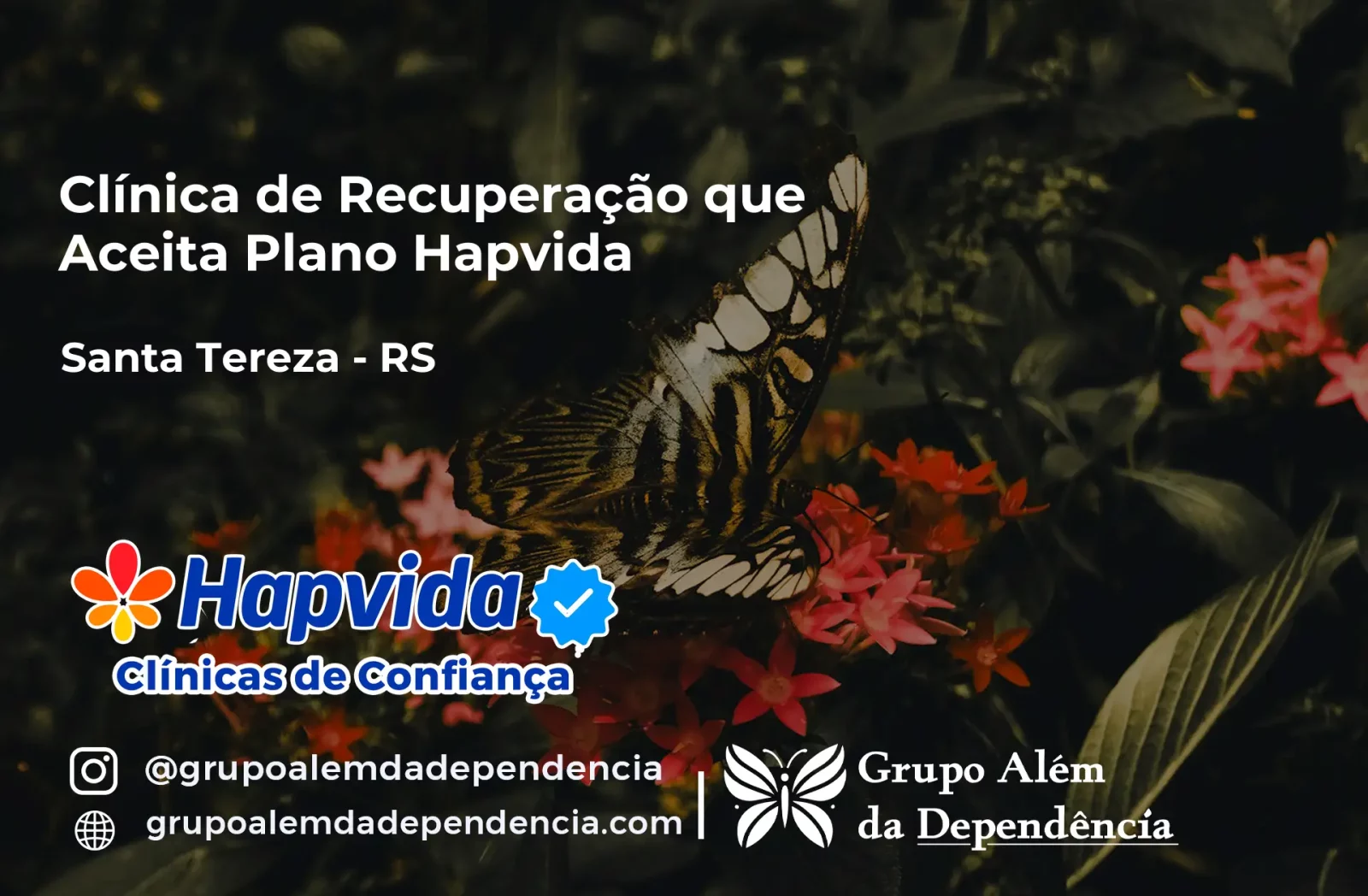 Clínica de Recuperação que Aceita Hapvida em Santa Tereza - RS