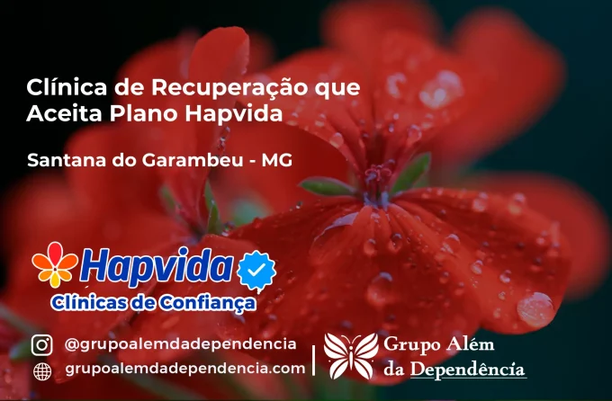 Clínica de Recuperação que Aceita Hapvida em Santana do Garambéu - MG