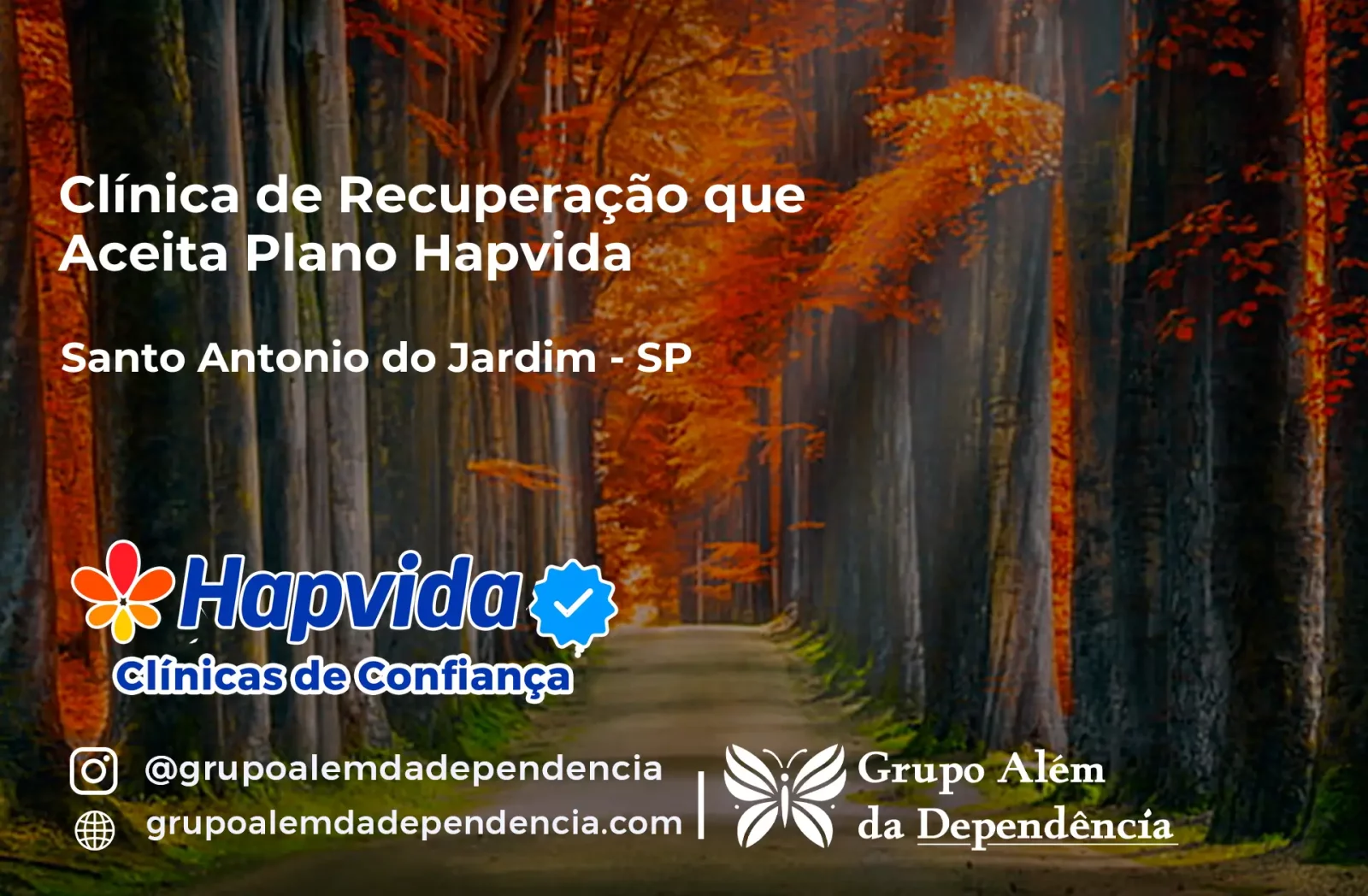 Clínica de Recuperação que Aceita Hapvida em Santo Antônio do Jardim - SP