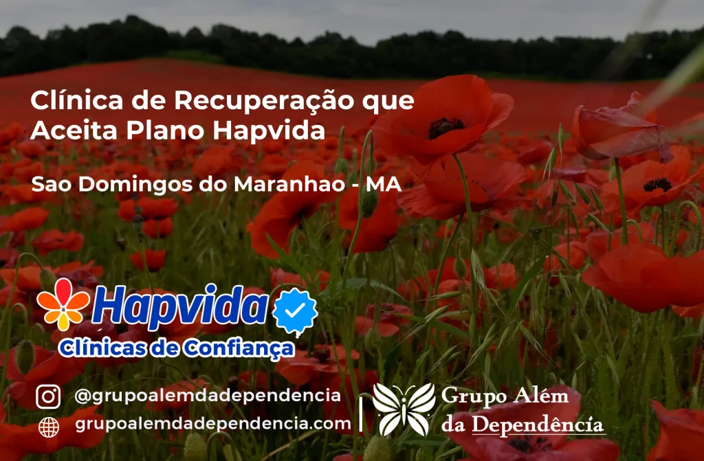 Clínica de Recuperação que Aceita Hapvida em São Domingos do Maranhão - MA 1 Clínica de Recuperação que Aceita Hapvida em São Domingos do Maranhão - MA