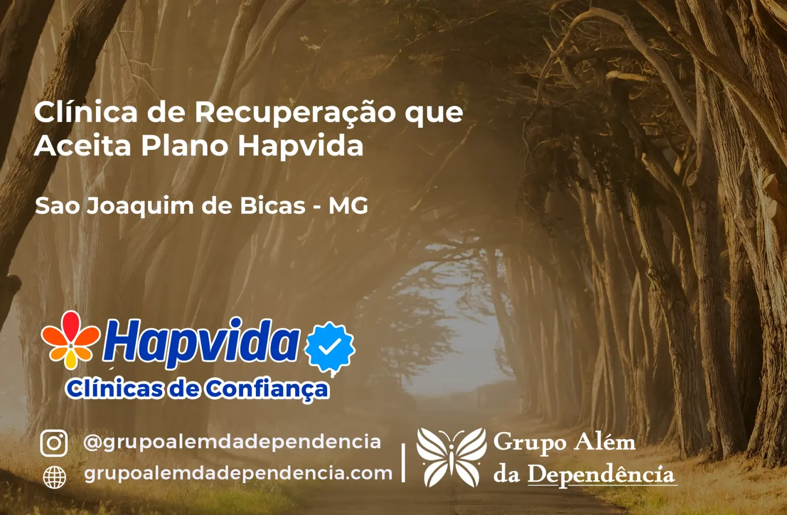 Clínica de Recuperação que Aceita Hapvida em São Joaquim de Bicas - MG