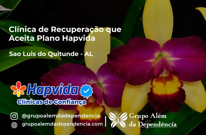 Clínica de Recuperação que Aceita Hapvida em São Luís do Quitunde - AL