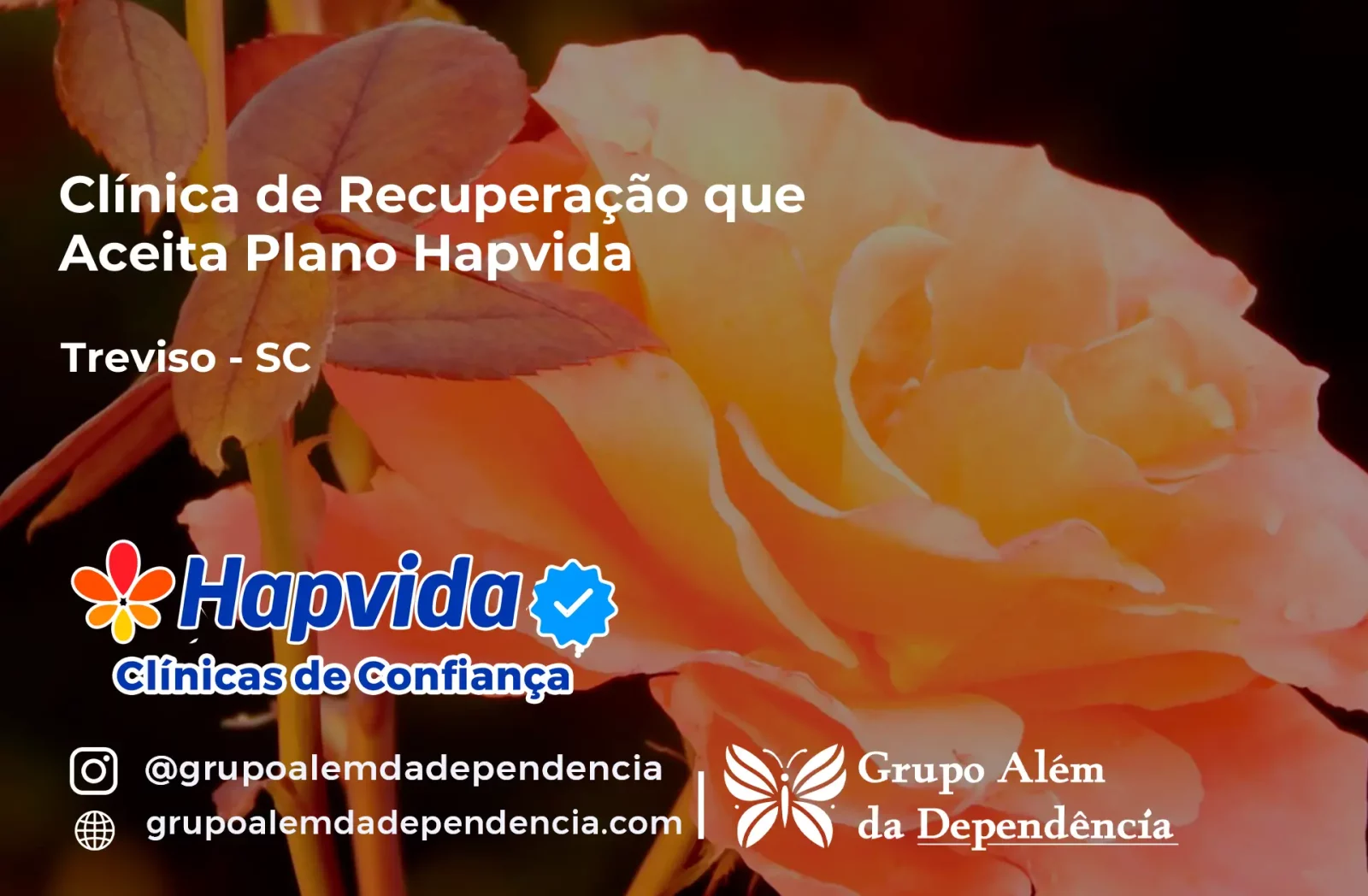 Clínica de Recuperação que Aceita Hapvida em Treviso - SC