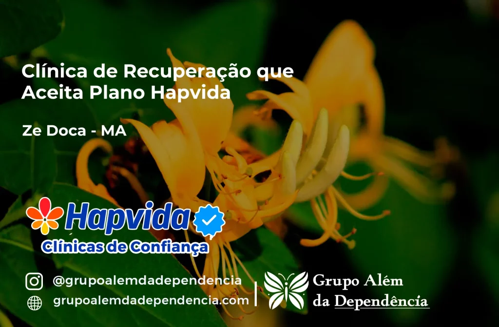 Clínica de Recuperação que Aceita Hapvida em Zé Doca - MA 1 Clínica de Recuperação que Aceita Hapvida em Zé Doca - MA