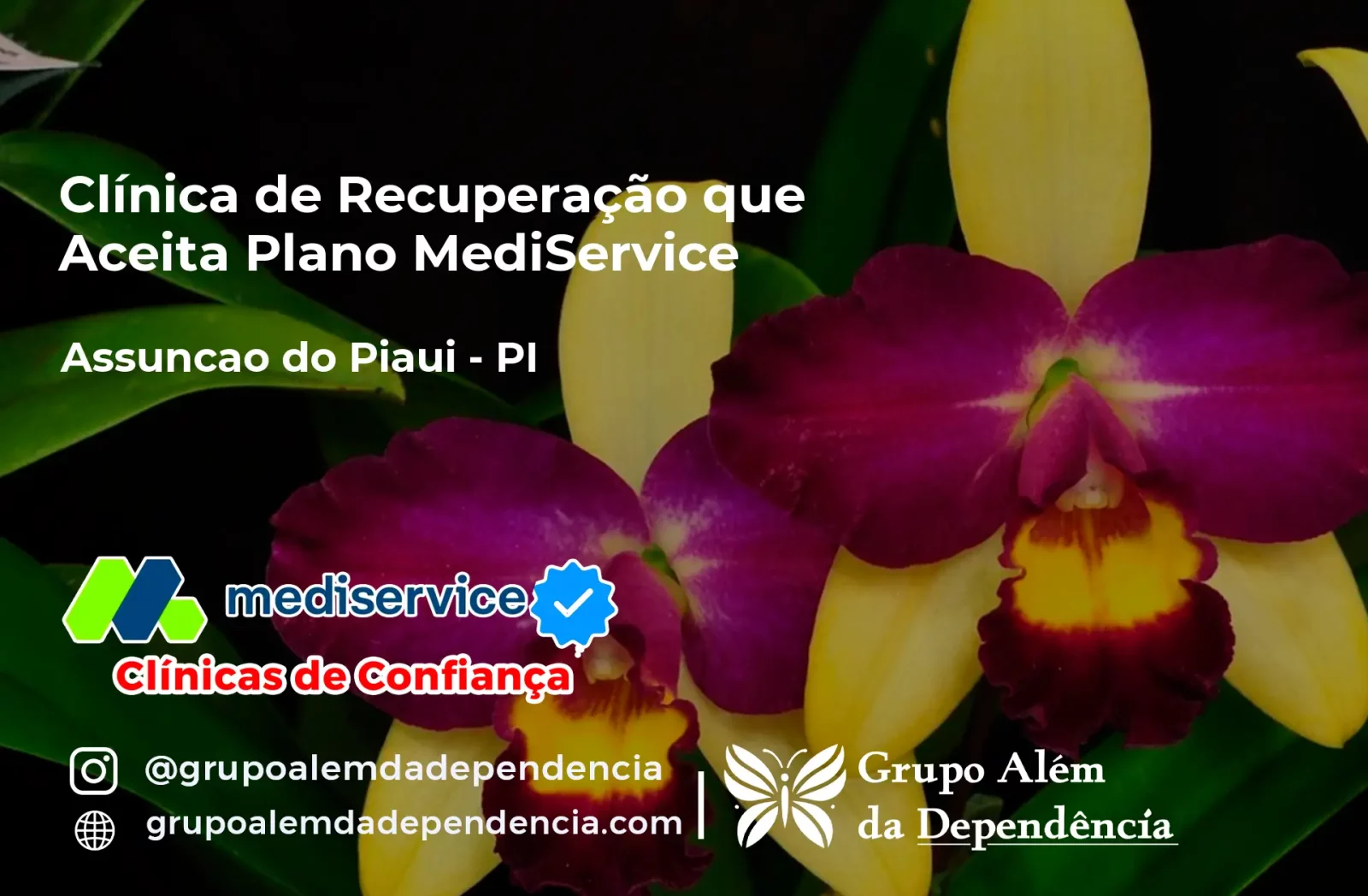 Clínica de Recuperação que Aceita Mediservice em Assunção do Piauí - PI