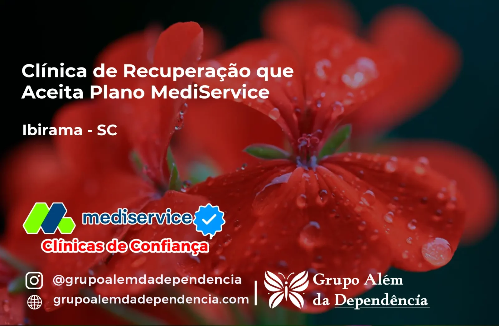 Clínica de Recuperação que Aceita Mediservice em Ibirama - SC