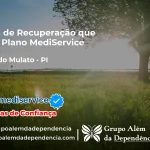 Clínica de Recuperação que Aceita Mediservice em Jardim do Mulato - PI