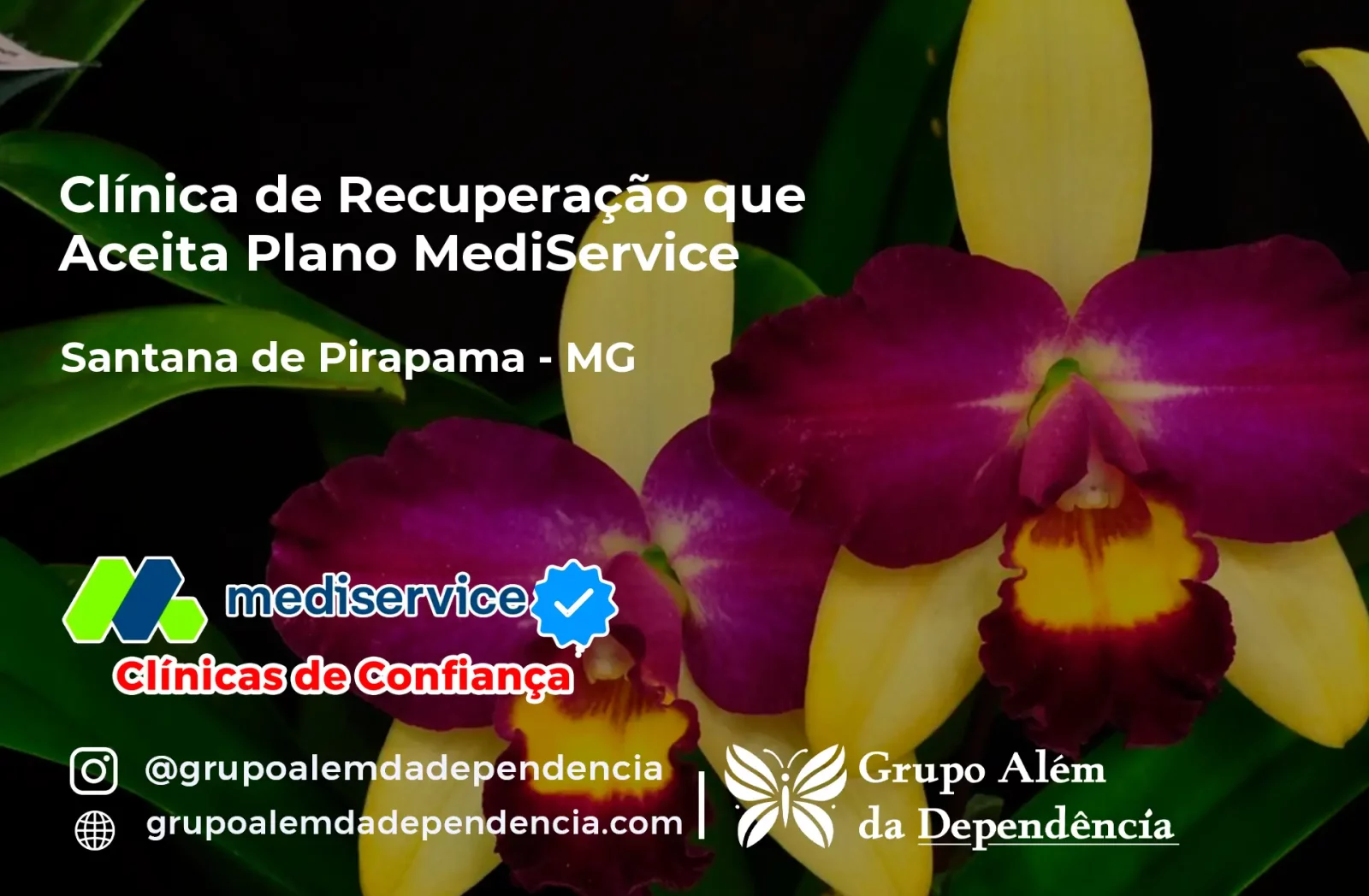 Clínica de Recuperação que Aceita Mediservice em Santana de Pirapama - MG