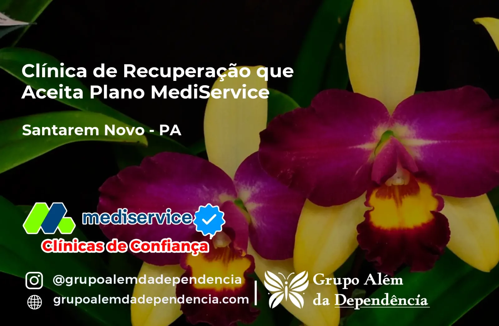 Clínica de Recuperação que Aceita Mediservice em Santarém Novo - PA