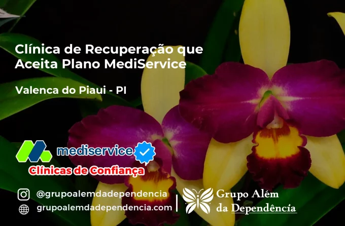 Clínica de Recuperação que Aceita Mediservice em Valença do Piauí - PI