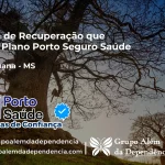 Clínica de Recuperação que Aceita Porto Seguro Saúde em Aquidauana - MS