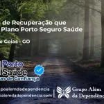Clínica de Recuperação que Aceita Porto Seguro Saúde em Flores de Goiás - GO