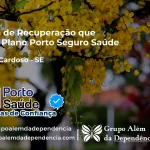 Clínica de Recuperação que Aceita Porto Seguro Saúde em Gracho Cardoso - SE