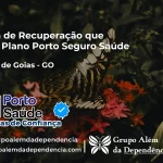 Clínica de Recuperação que Aceita Porto Seguro Saúde em Guarani de Goiás - GO