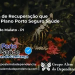 Clínica de Recuperação que Aceita Porto Seguro Saúde em Jardim do Mulato - PI