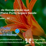 Clínica de Recuperação que Aceita Porto Seguro Saúde em Lauro Müller - SC