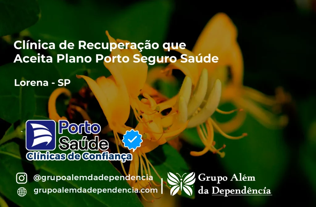 Clínica de Recuperação que Aceita Porto Seguro Saúde em Lorena - SP 1 Clínica de Recuperação que Aceita Porto Seguro Saúde em Lorena - SP