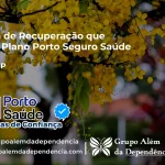 Clínica de Recuperação que Aceita Porto Seguro Saúde em Sales - SP