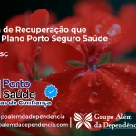 Clínica de Recuperação que Aceita Porto Seguro Saúde em Salete - SC