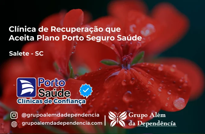 Clínica de Recuperação que Aceita Porto Seguro Saúde em Salete - SC